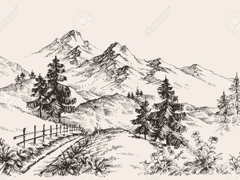 Svg Path Draw&nbsp;Online