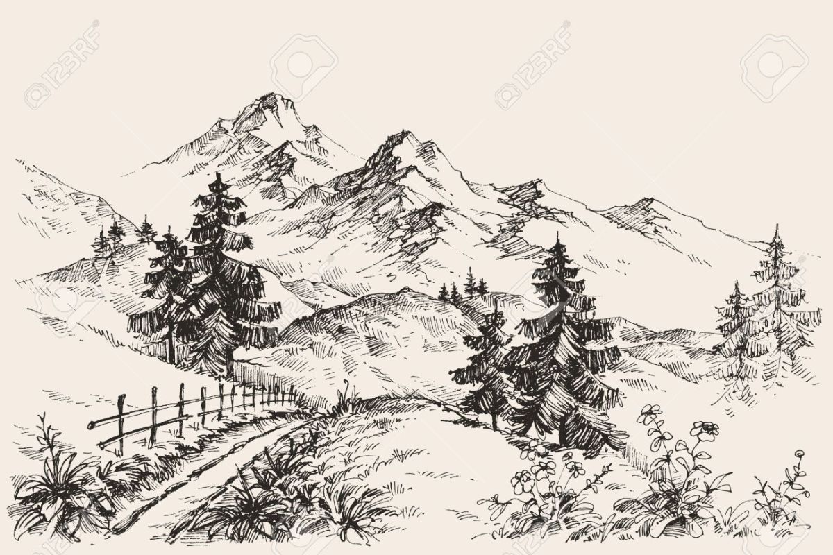 Svg Path Draw&nbsp;Online